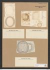 Campylodiscus limbatus Breb. (de-Toni-Nr.: Genus 57, Species 2509) Zeichnungen Sammlung Grunow Nr. 5019 (NHMW-BOT-W0373273)
